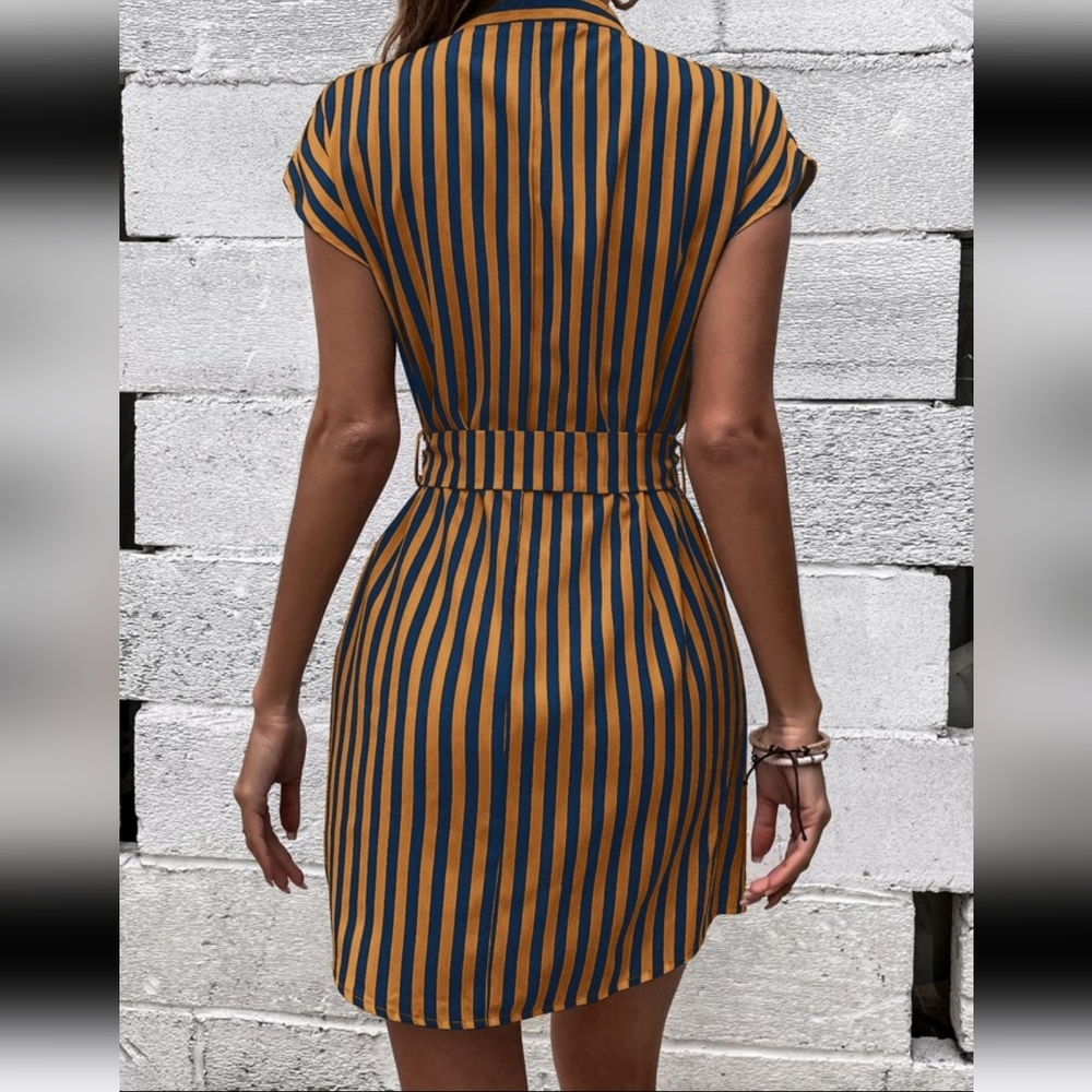 Shein Vertical Striped Notched Neck Batwing Sleeve Belted Dress - Picture 8 of 13